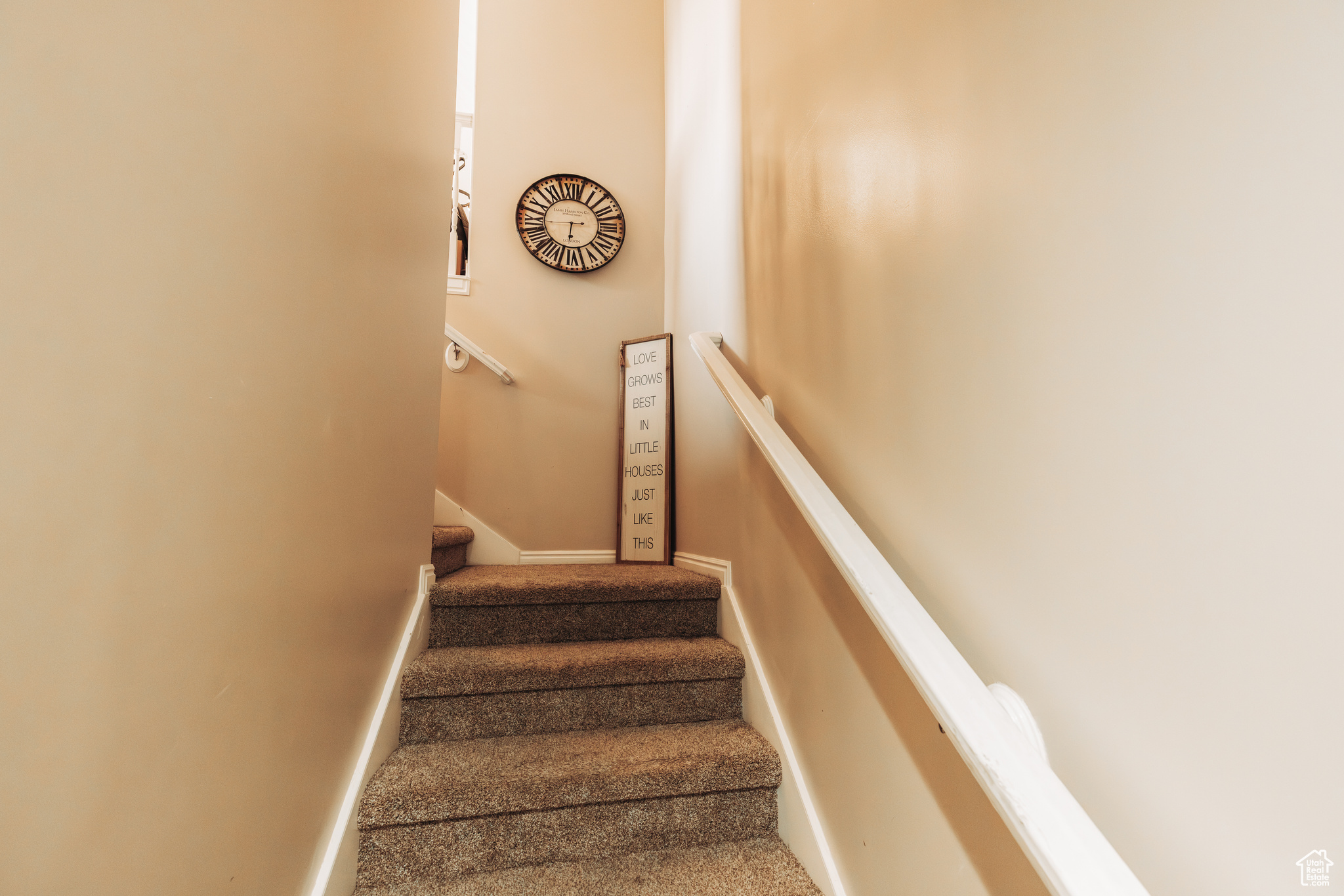 Stairs featuring carpet flooring