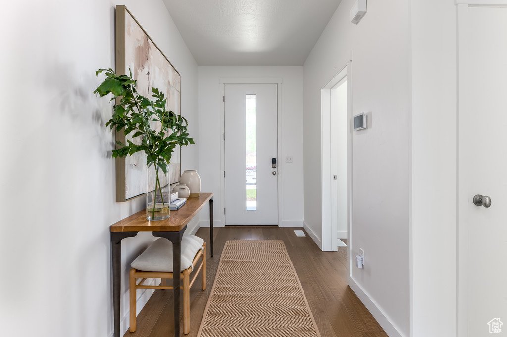 Foyer entrance featuring dark wood-type flooring