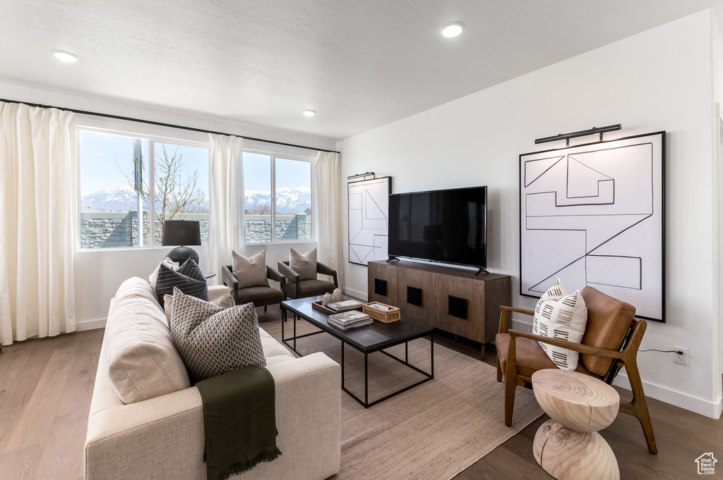 Living room featuring light hardwood / wood-style floors