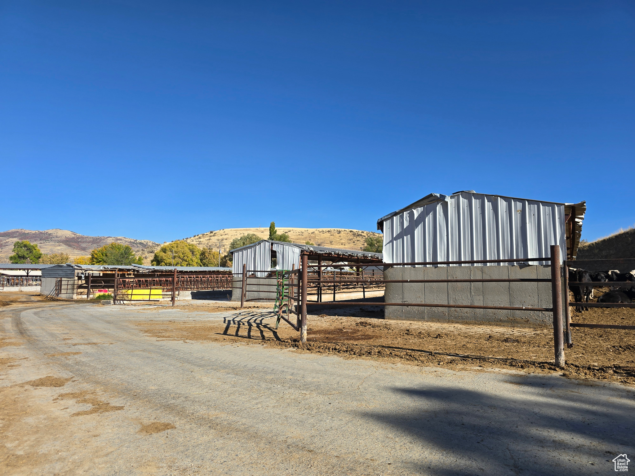 1608 E 9000 N, Preston, Idaho 83263, ,Farm,For sale,9000,2029510