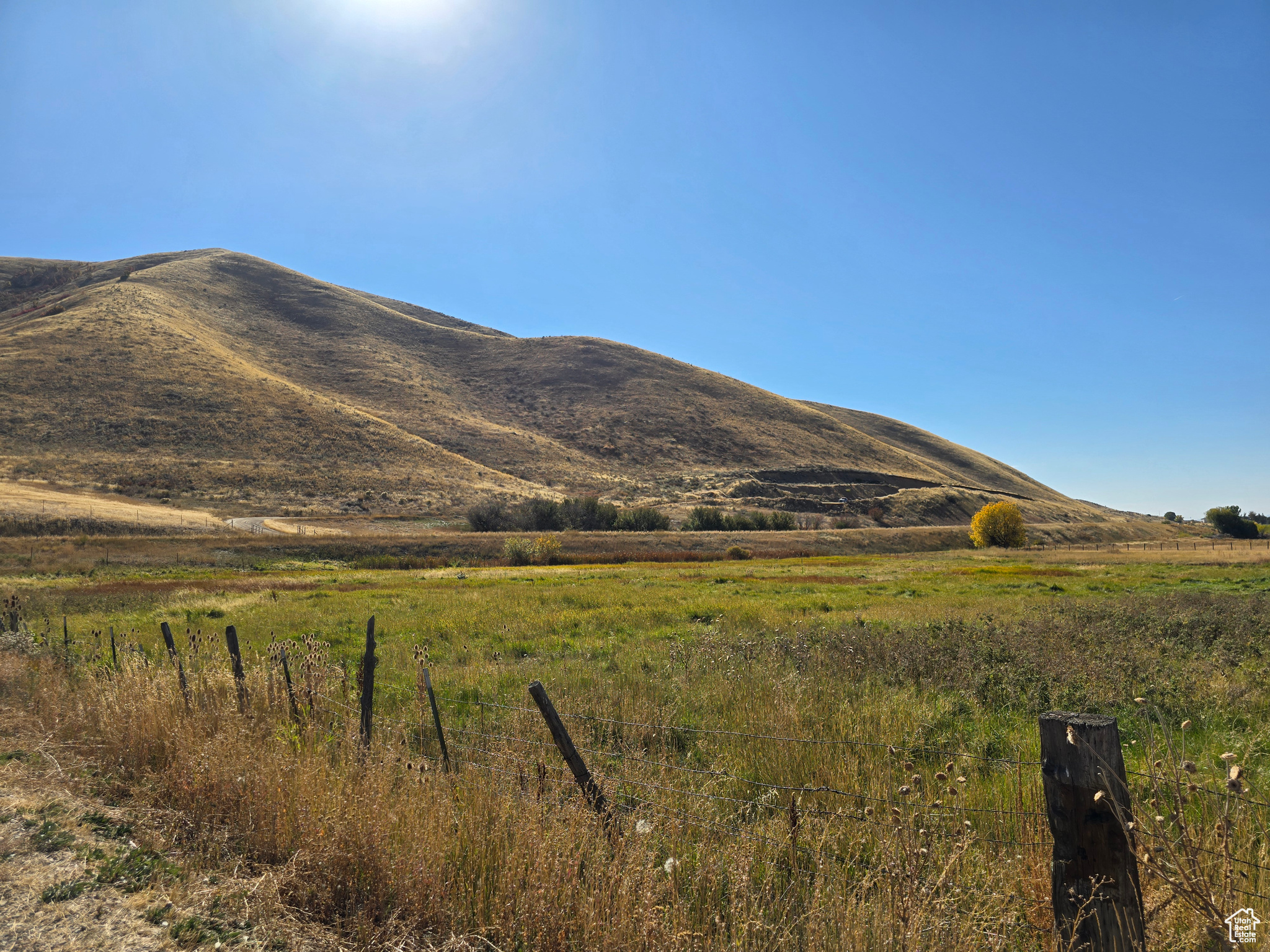 1608 E 9000 N, Preston, Idaho 83263, ,Farm,For sale,9000,2029510