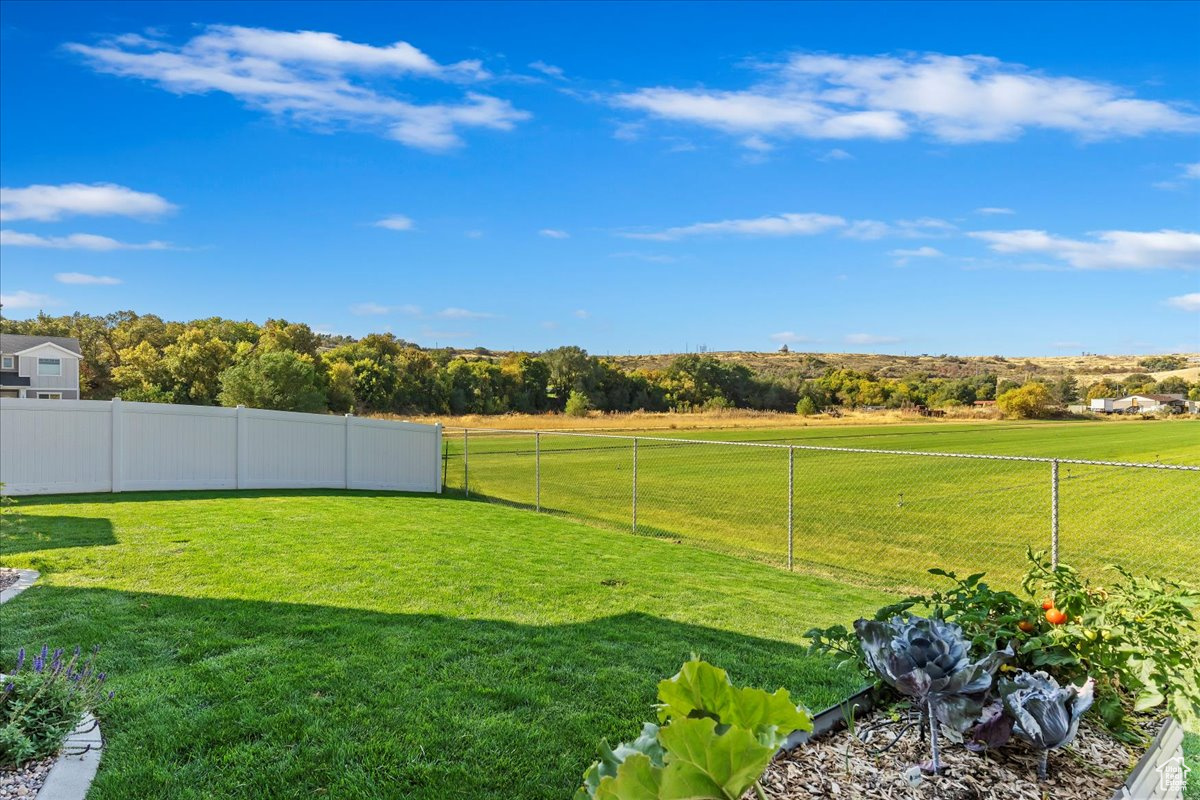 View of yard with a rural view