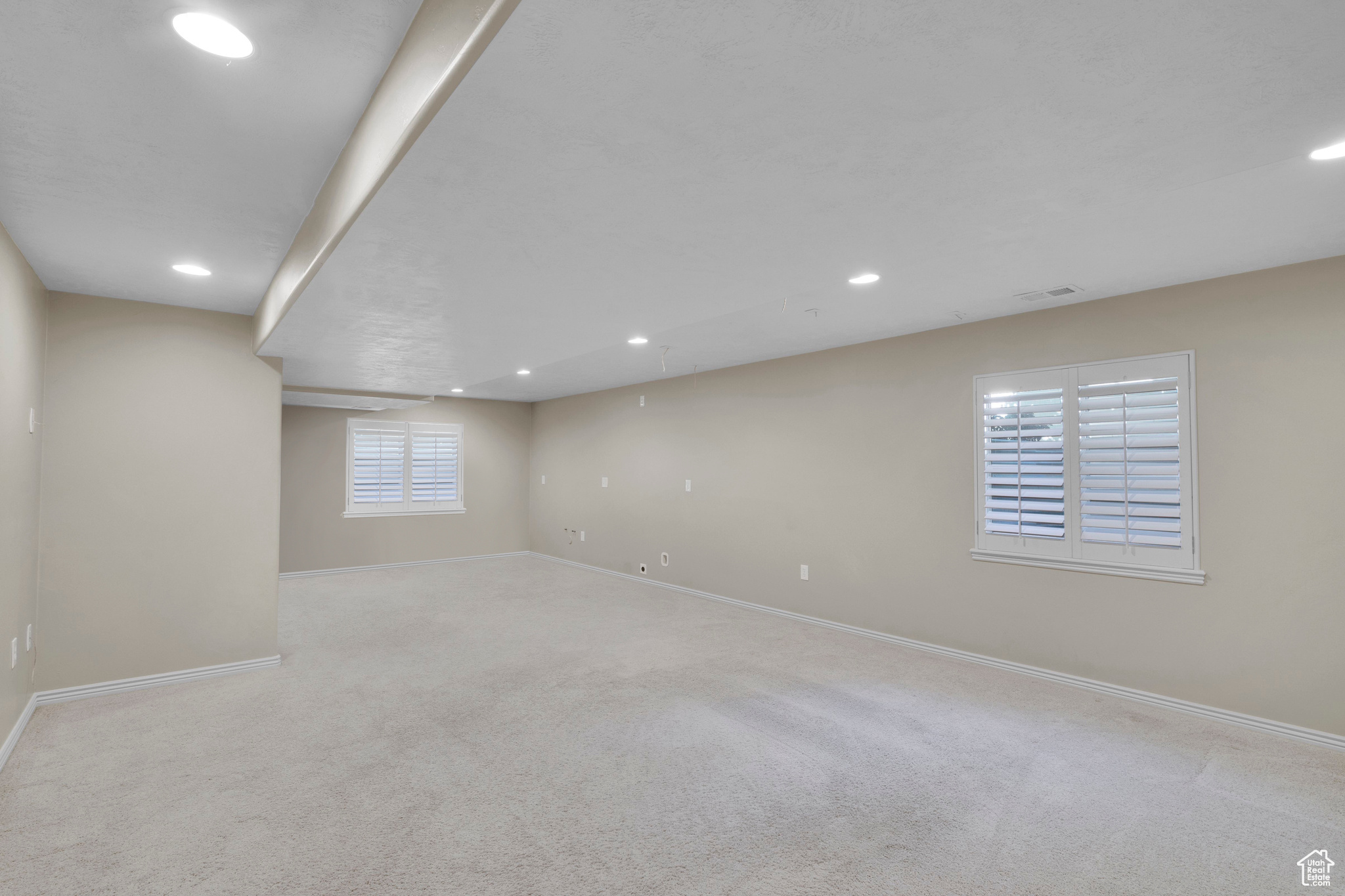 Basement Living Room