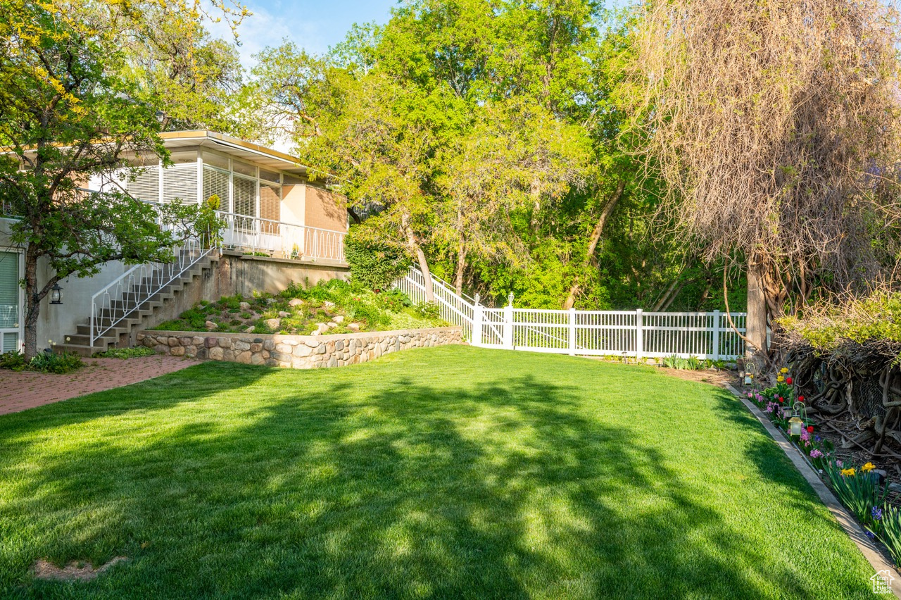 View of back yard