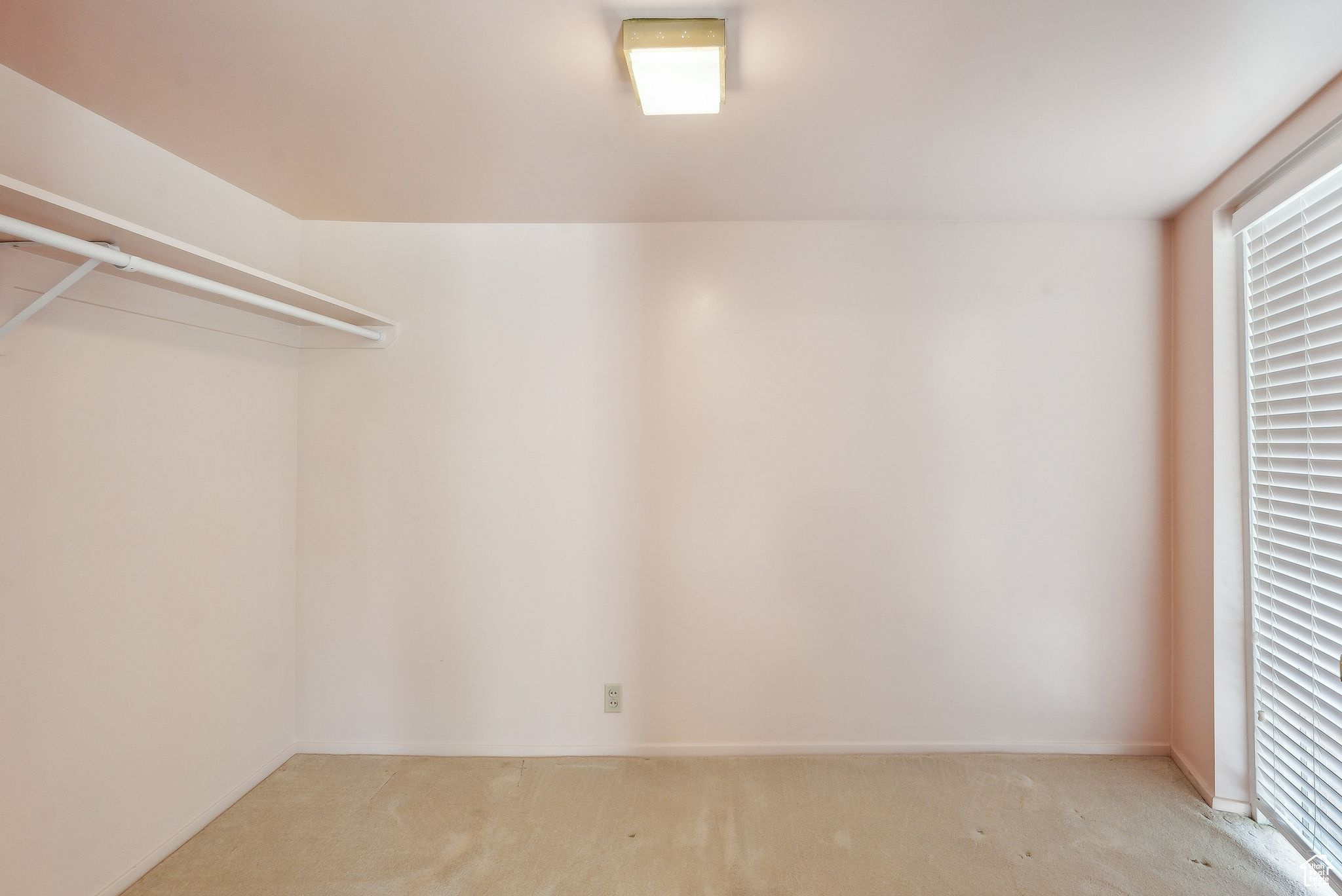 Spacious closet featuring light colored carpet