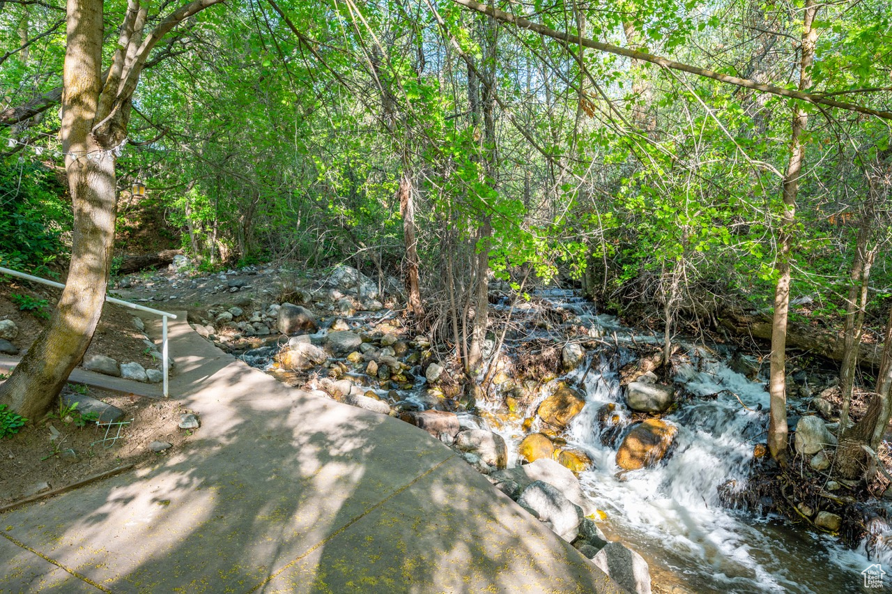 View of landscape and stream