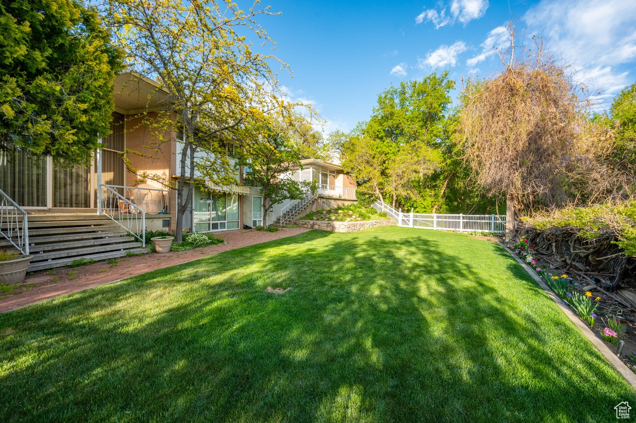 View of back yard