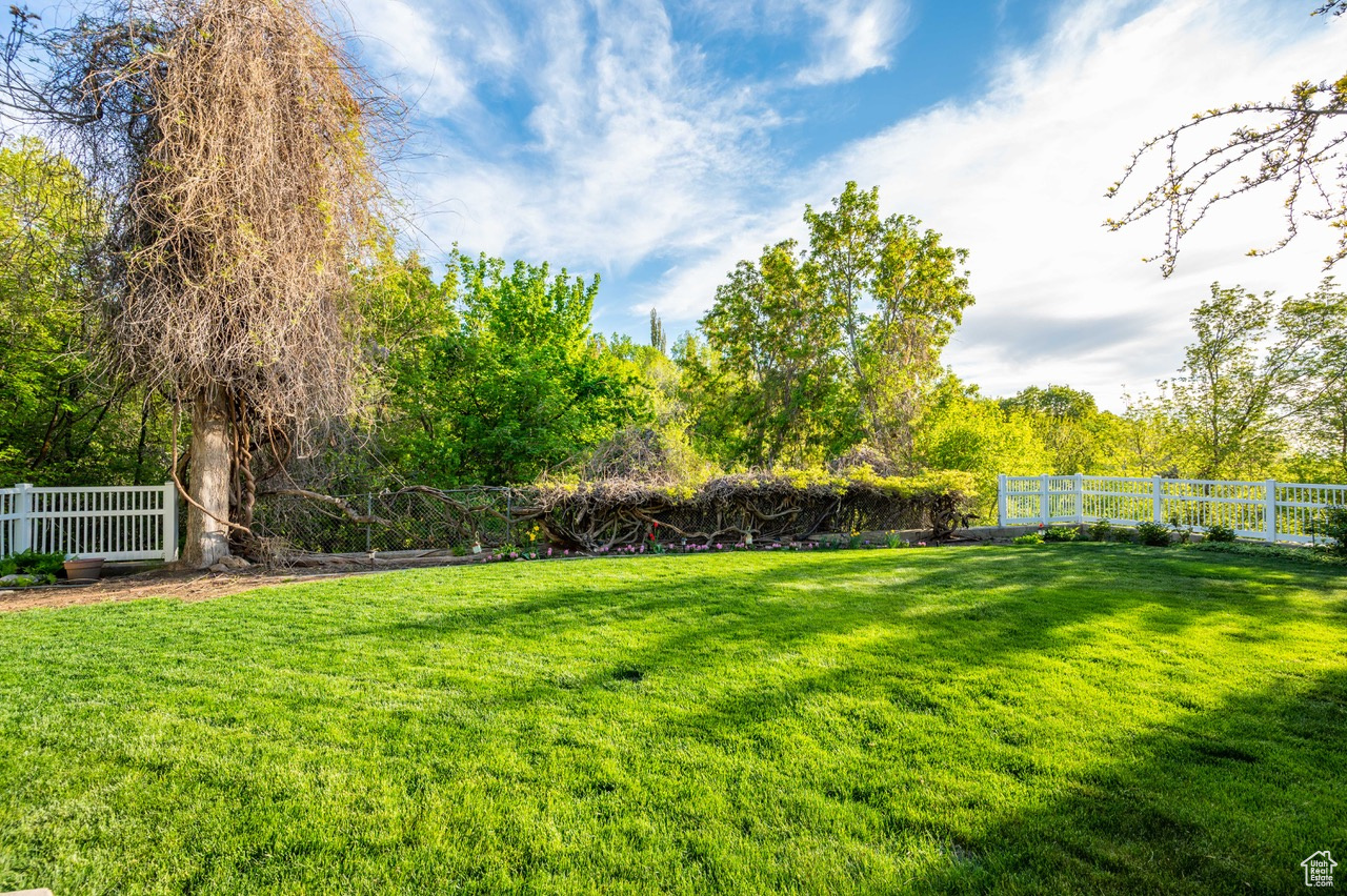 View of back yard