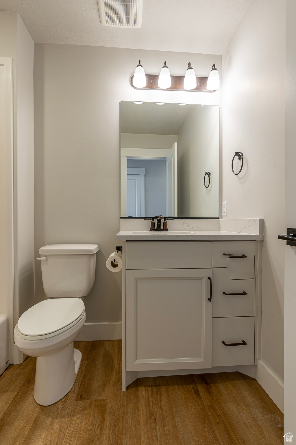 Bathroom with vanity, wood-type flooring, and toilet