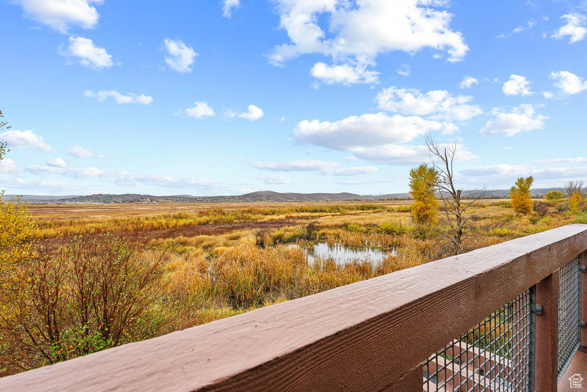 Deck view over Swaner Nature Preserve