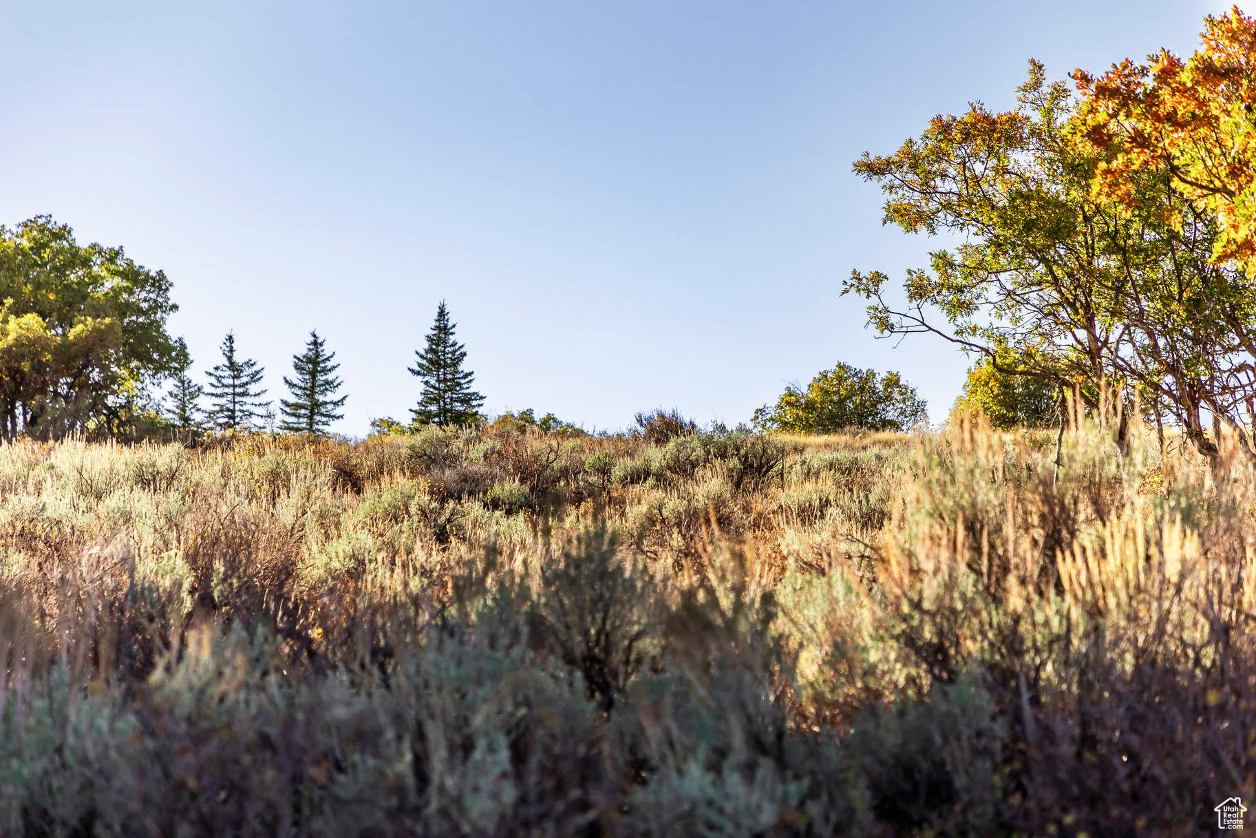 1655 W RED HAWK #19, Park City, Utah 84098, ,Land,For sale,RED HAWK,2029952