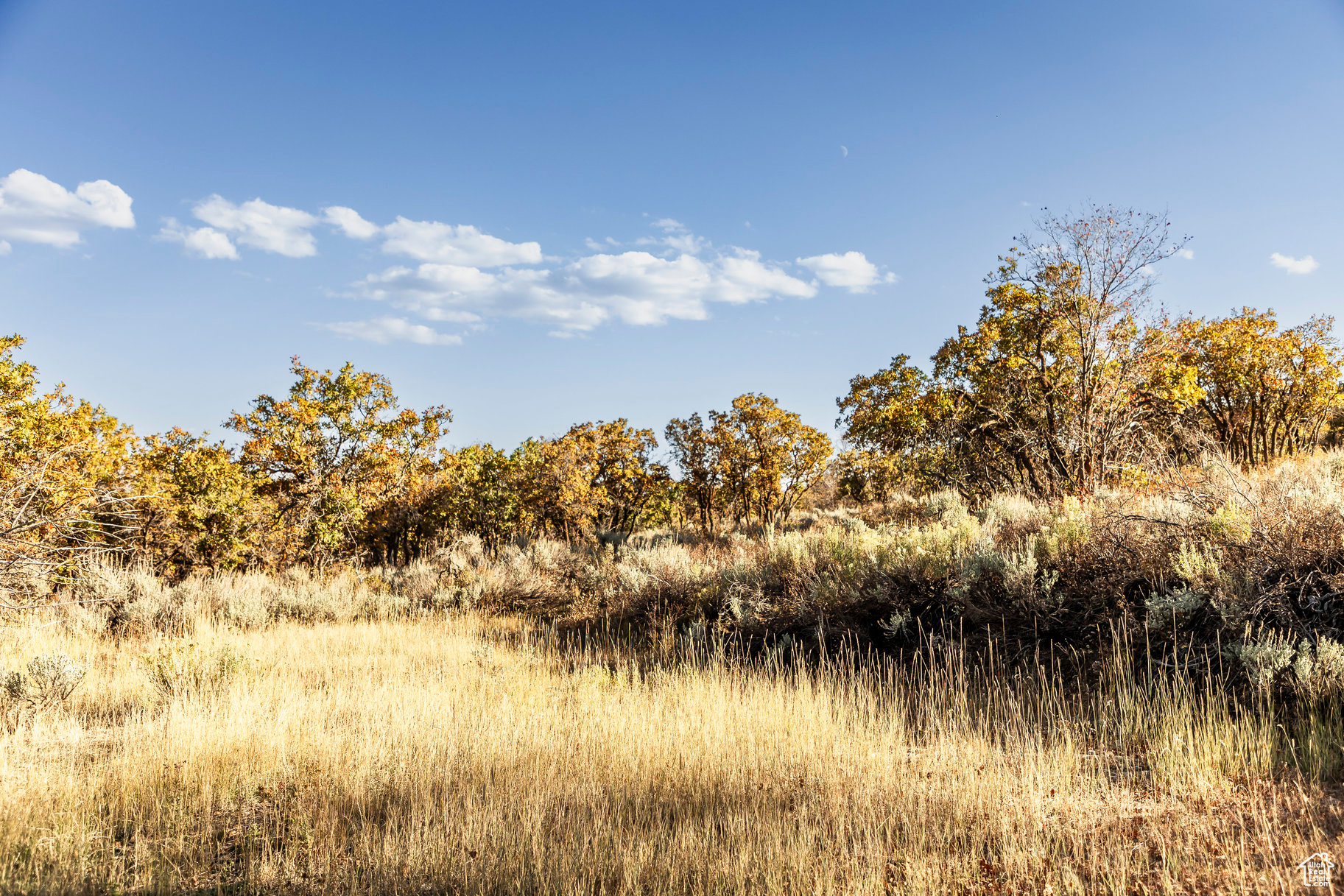 1655 W RED HAWK #19, Park City, Utah 84098, ,Land,For sale,RED HAWK,2029952