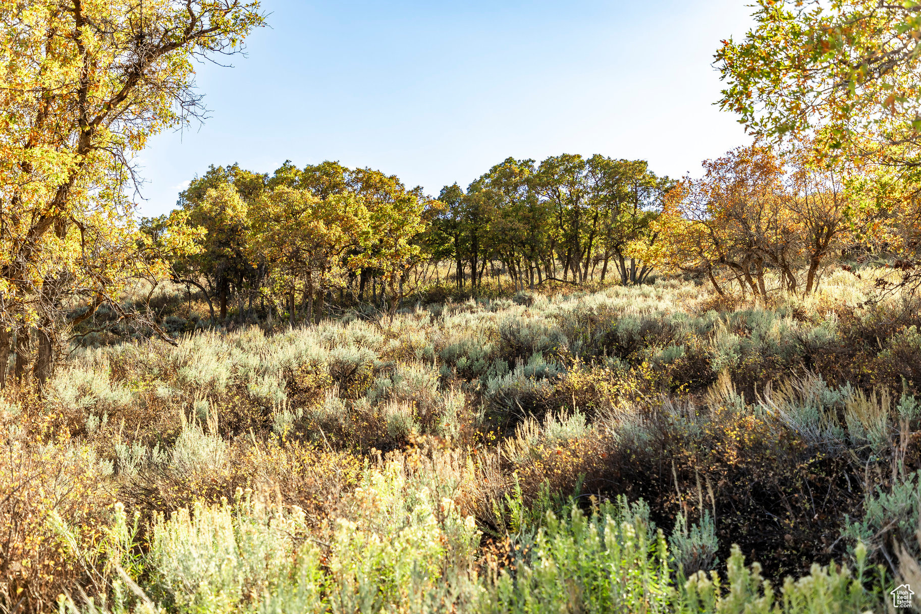 1655 W RED HAWK #19, Park City, Utah 84098, ,Land,For sale,RED HAWK,2029952