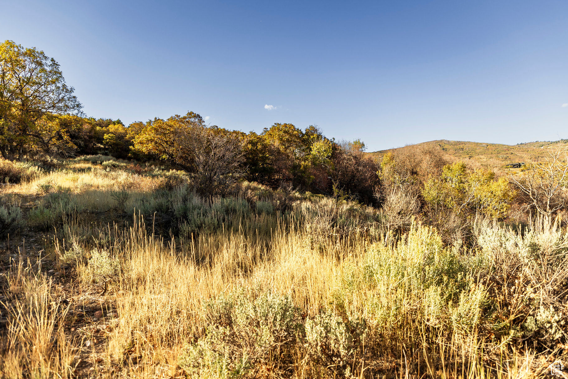 1655 W RED HAWK #19, Park City, Utah 84098, ,Land,For sale,RED HAWK,2029952