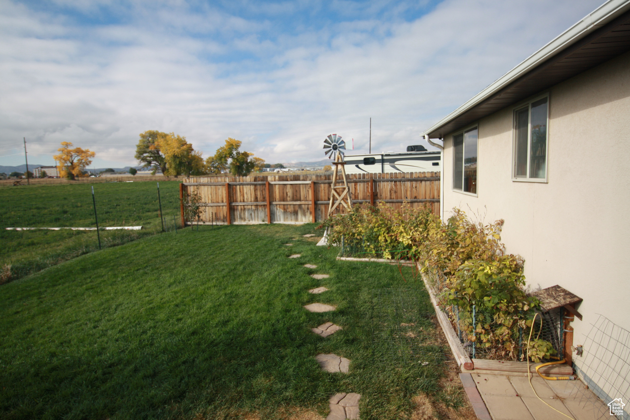 View of yard and Raspberry Bushes.