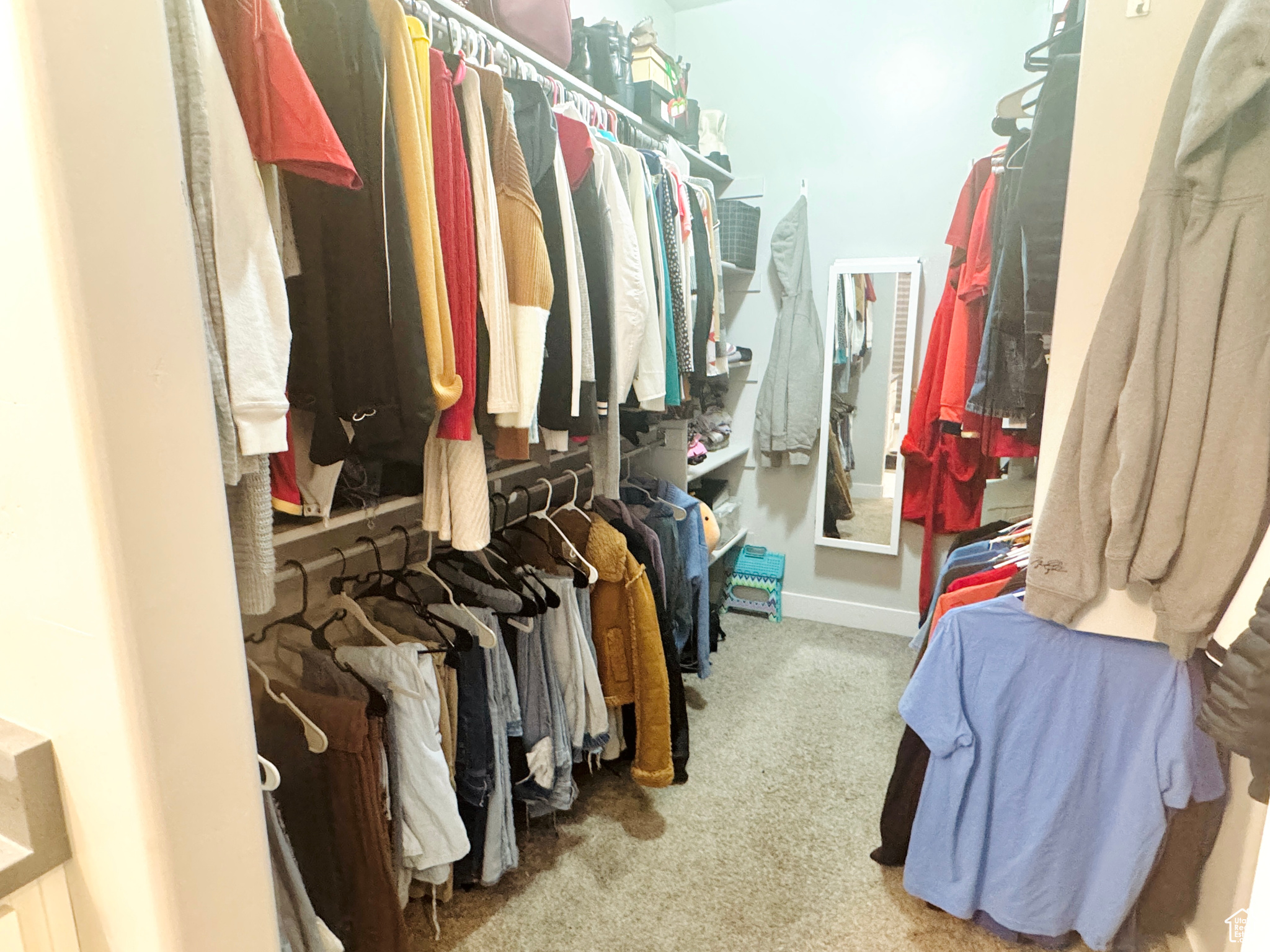 Spacious closet with carpet