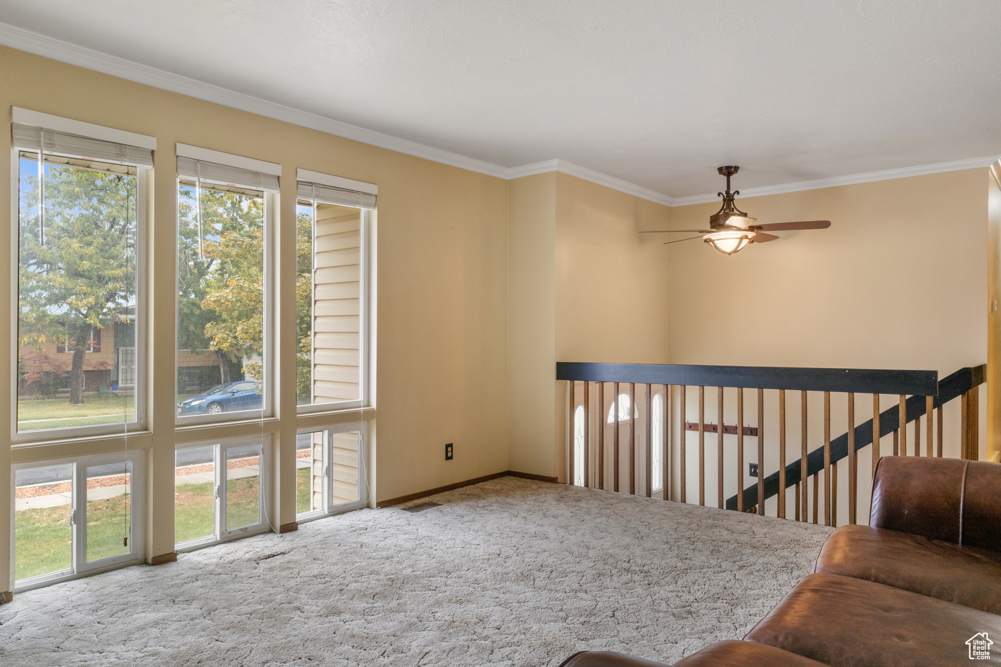 Living room with crown molding, carpet flooring, a healthy amount of sunlight, and ceiling fan