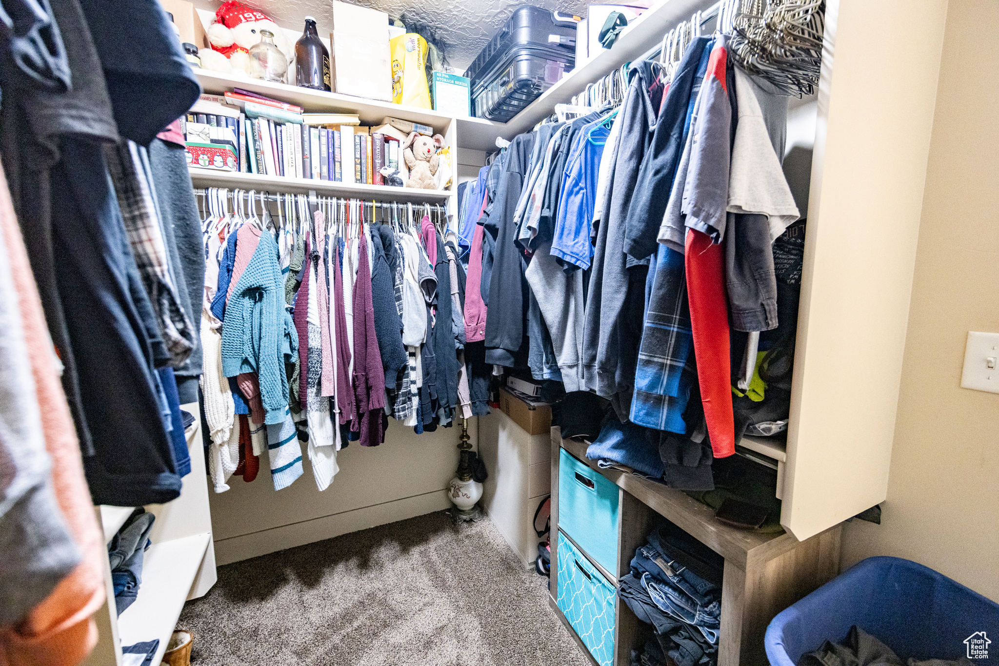 Spacious closet with carpet flooring