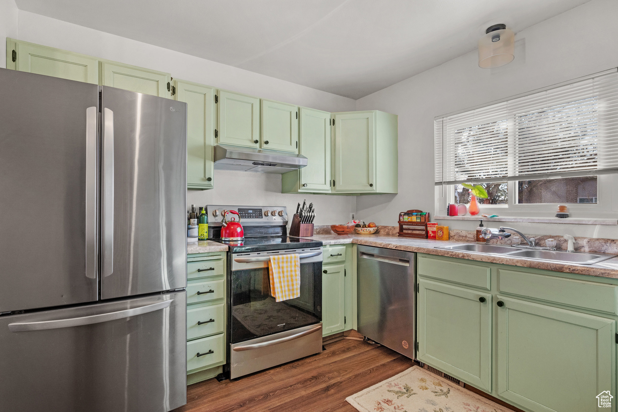 Kitchen with green cabinets, stainless steel appliances, dark hardwood / wood-style floors, and sink