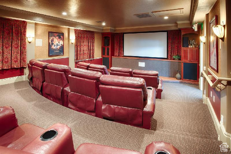 Cinema room with ornamental molding and carpet