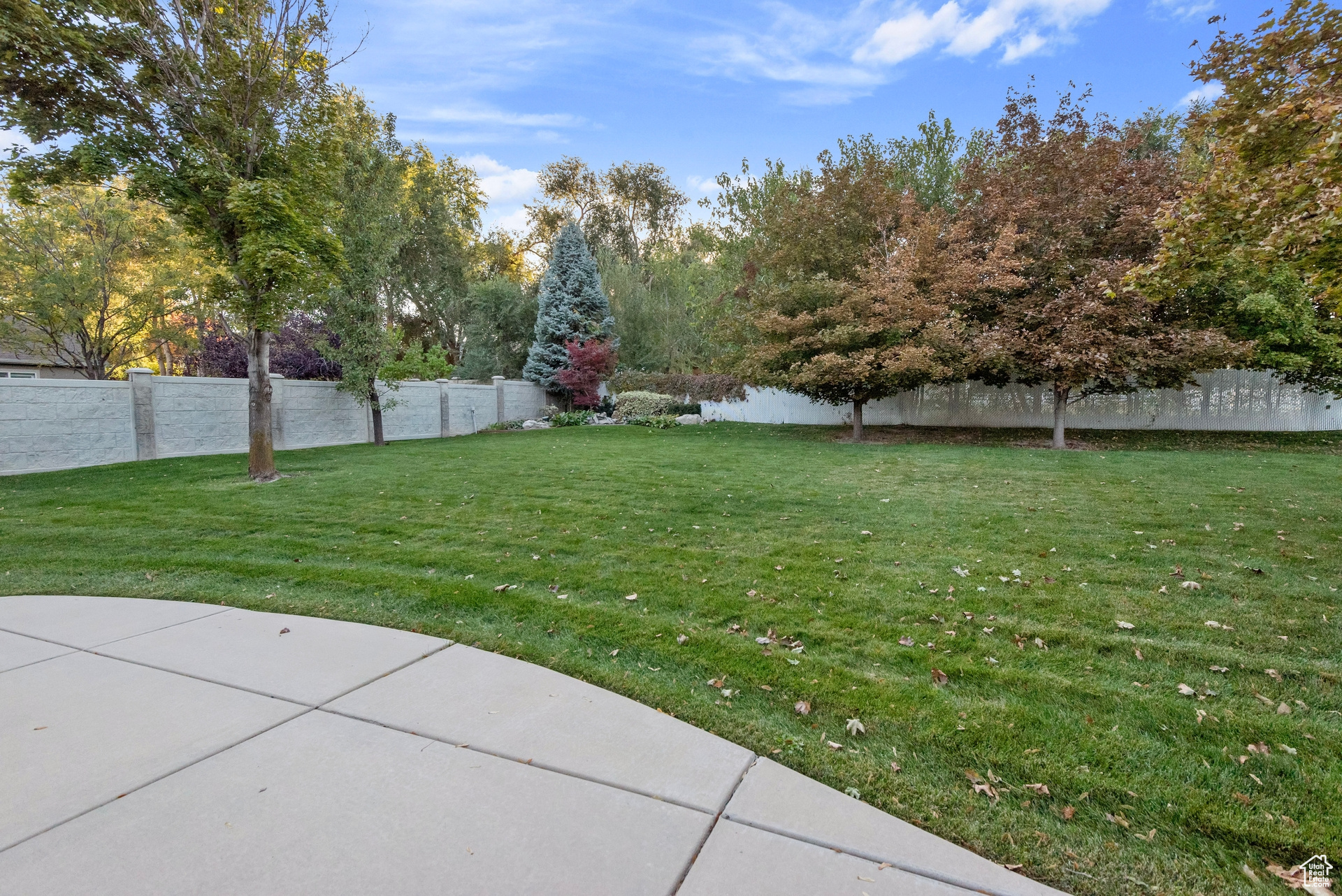 View of yard featuring a patio area