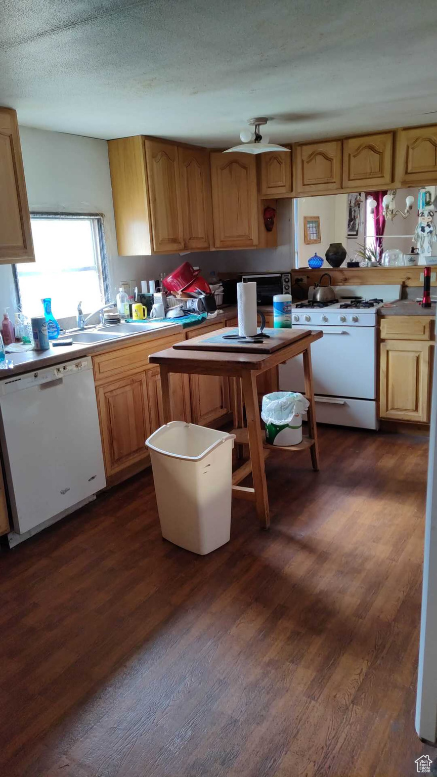 Kitchen featuring white appliances, a textured ceiling, dark hardwood / wood-style flooring, and sink