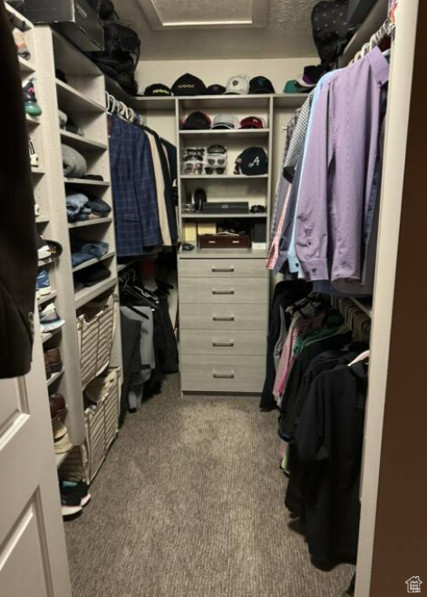 Spacious closet with carpet flooring