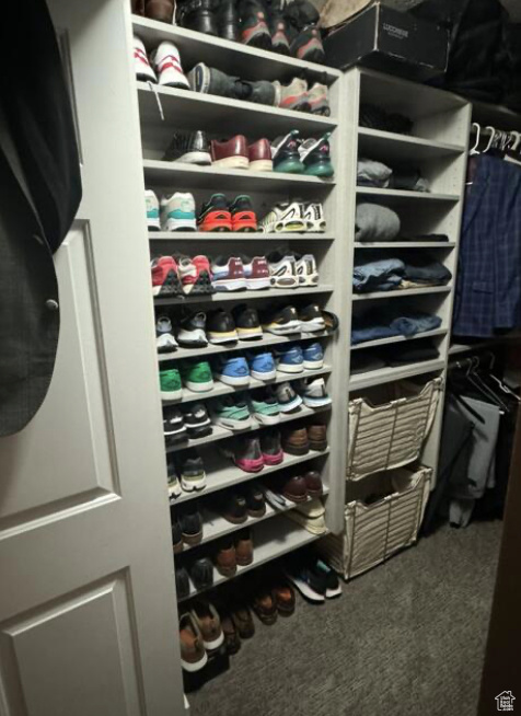 Spacious closet featuring carpet