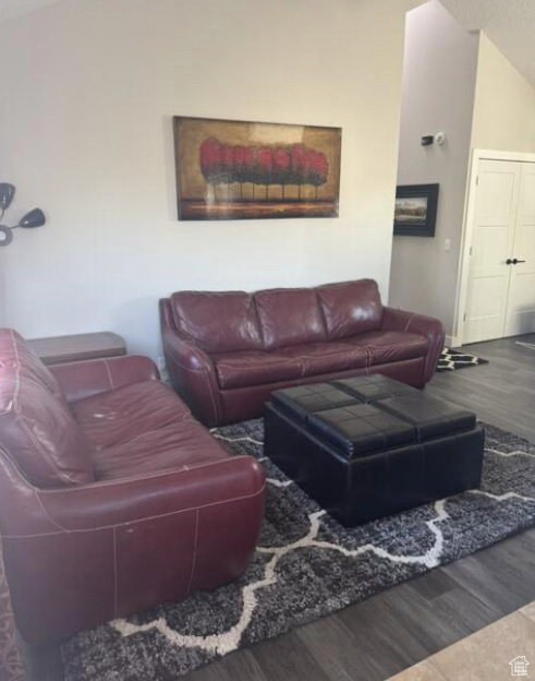 Living room featuring vaulted ceiling and wood-type flooring