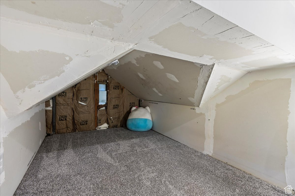 View of unfinished attic