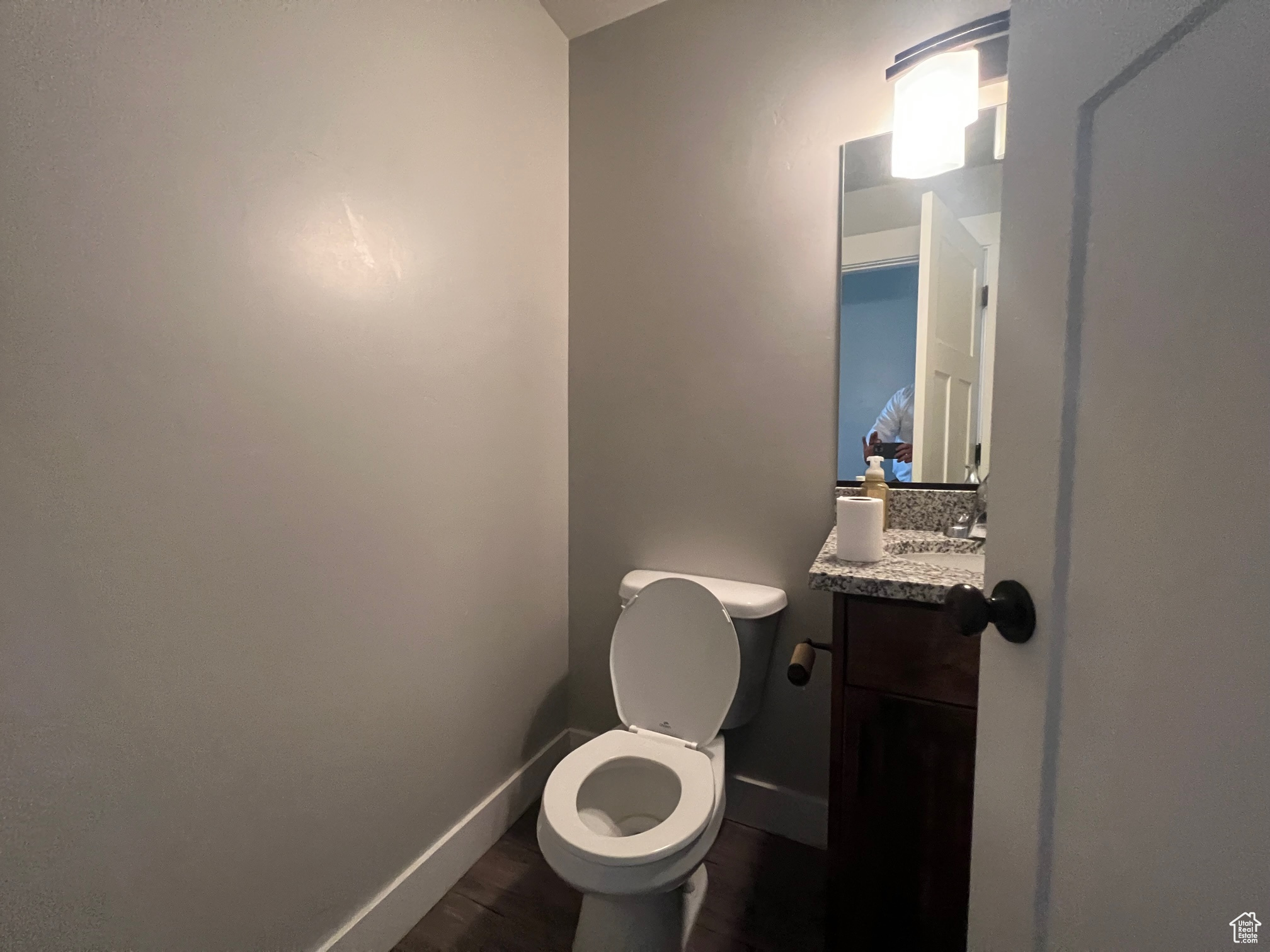 Bathroom with vanity, hardwood / wood-style floors, and toilet