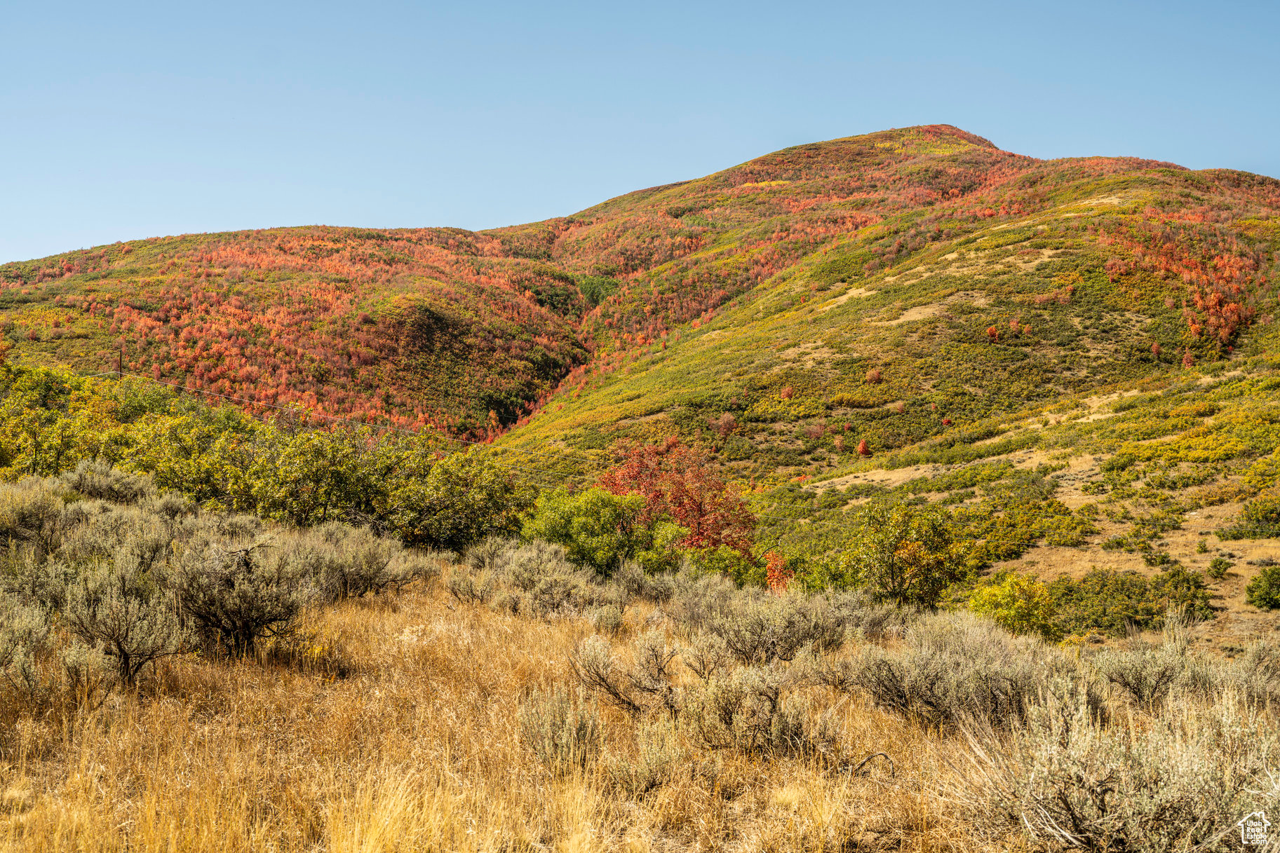 Midway, Utah 84049, ,Land,For sale,2031440