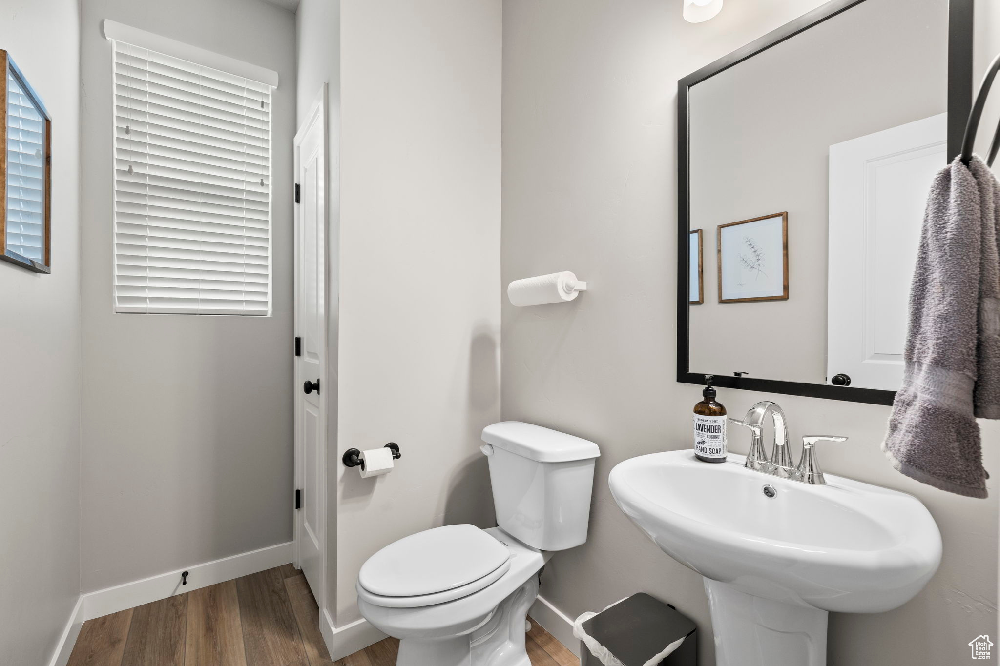 Bathroom with toilet, hardwood / wood-style flooring, and sink