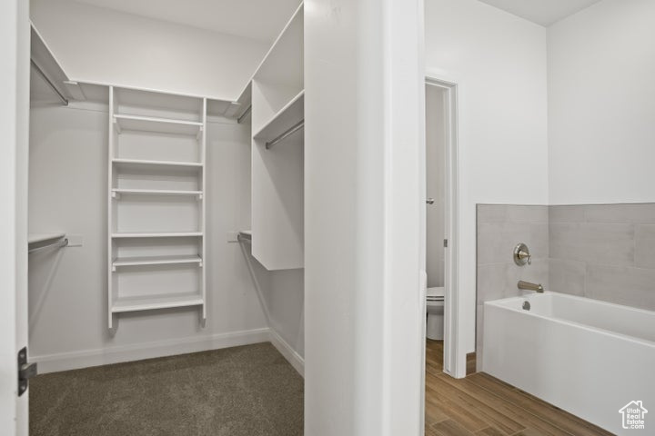 Walk in closet with dark wood-type flooring