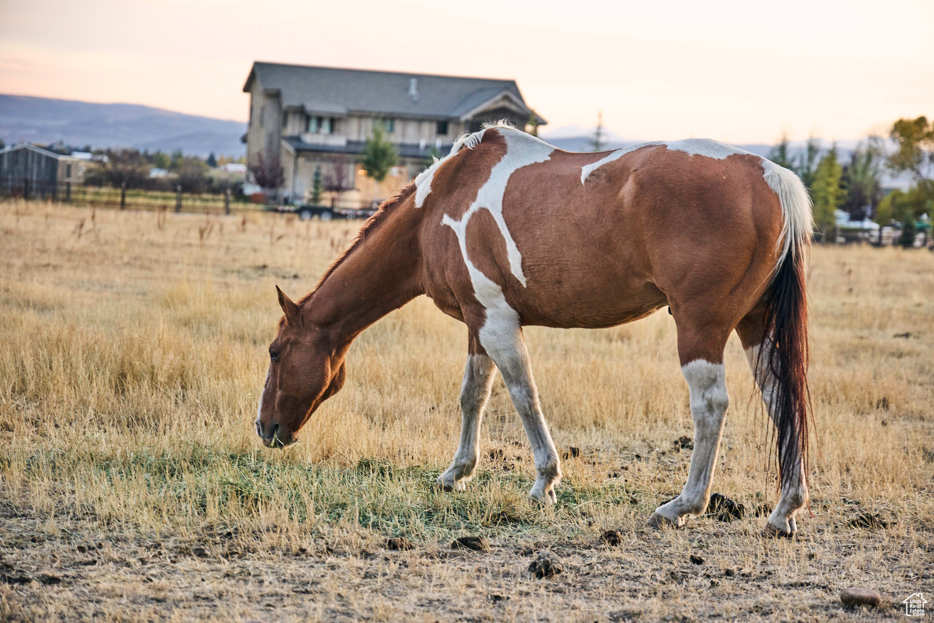 470 E BOULDERVILLE #2, Oakley, Utah 84055, ,Land,For sale,BOULDERVILLE,2031449