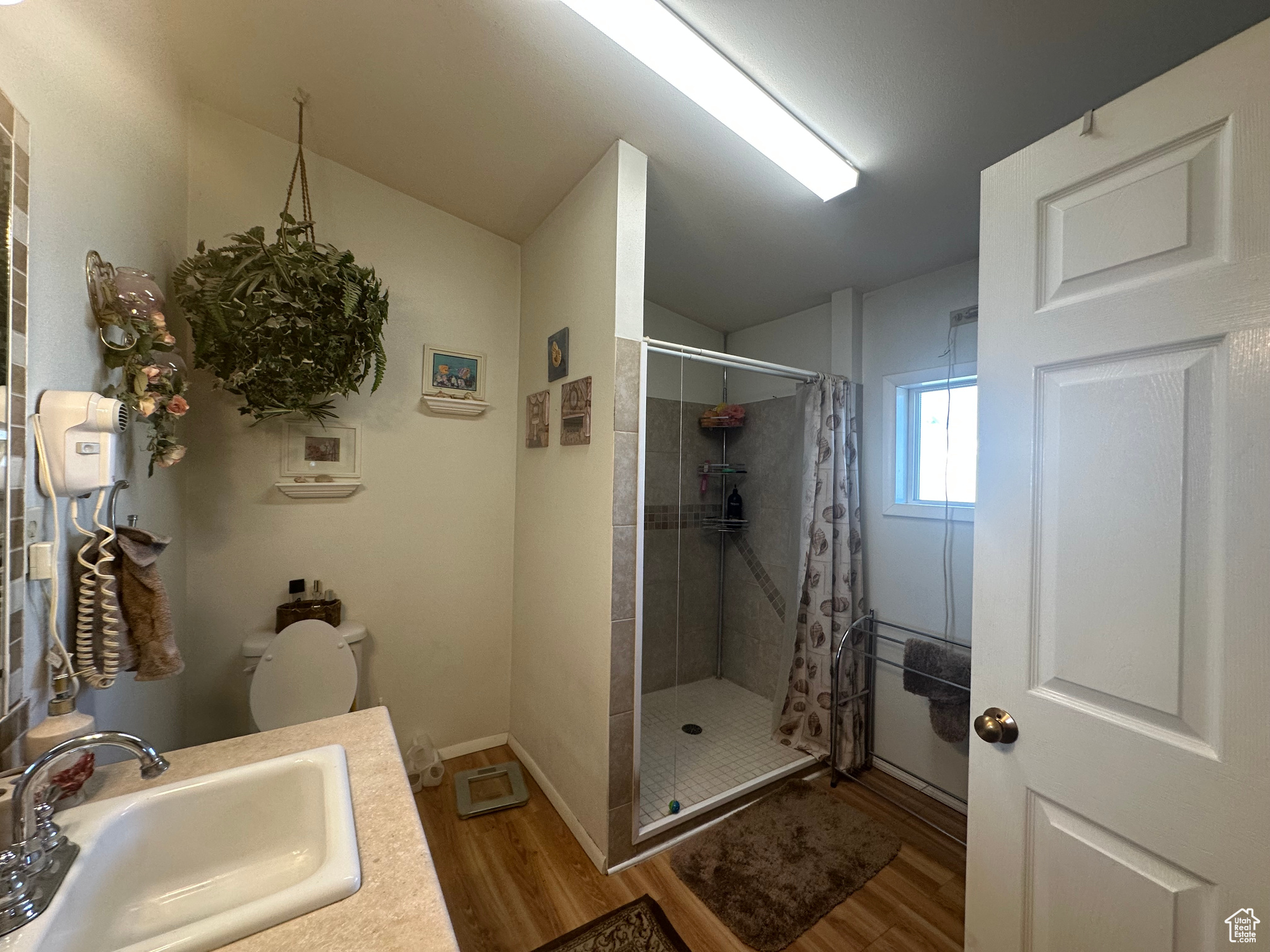 Bathroom with vanity, toilet, hardwood / wood-style flooring, and a shower with curtain