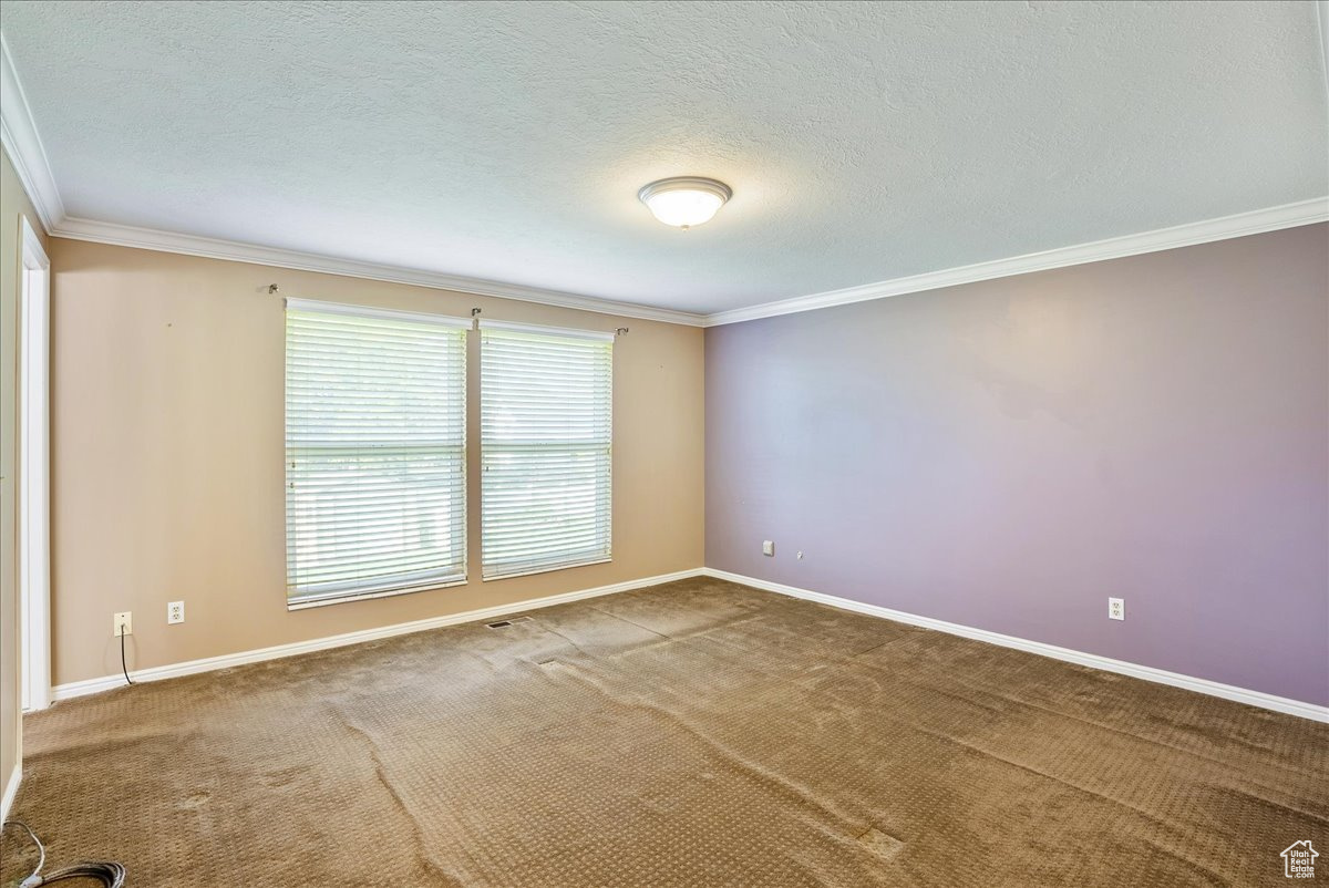 Empty room with ornamental molding, a textured ceiling, and carpet flooring