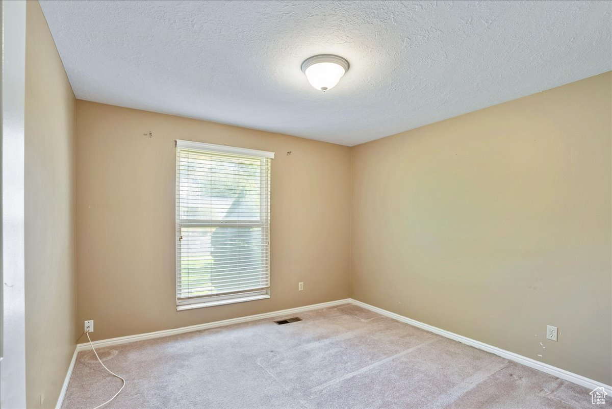 Unfurnished room featuring light carpet and a textured ceiling