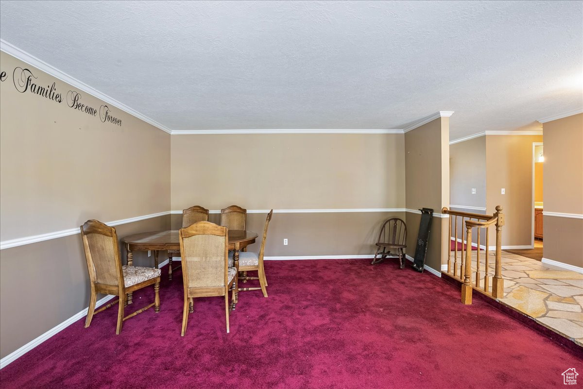 Carpeted dining area featuring crown molding and a textured ceiling