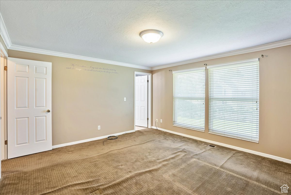 Carpeted spare room featuring ornamental molding and a textured ceiling