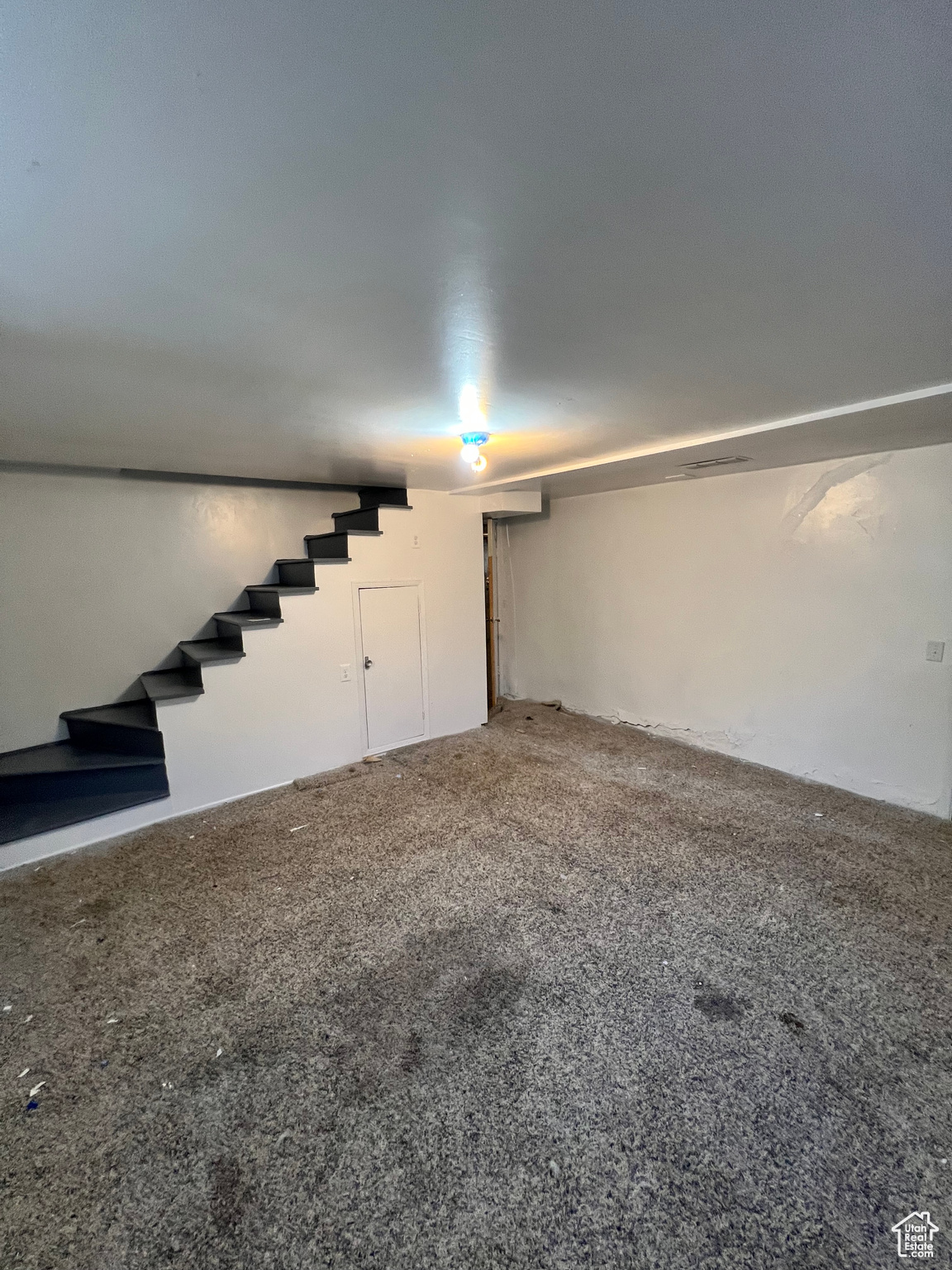 Basement featuring carpet