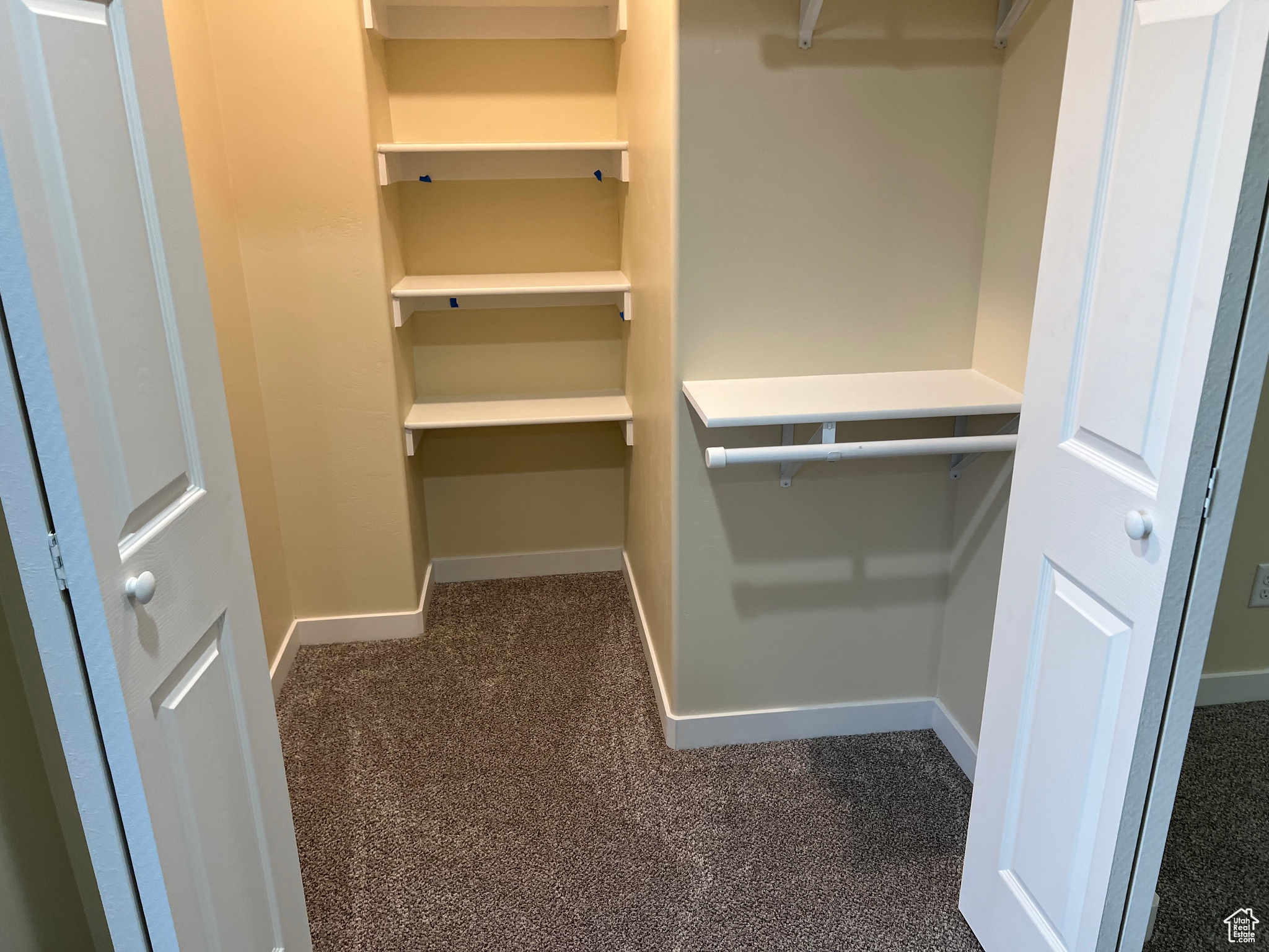 Walk in closet featuring dark carpet