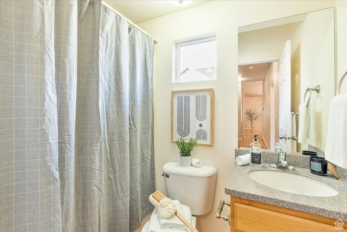 Bathroom featuring vanity, toilet, and curtained shower