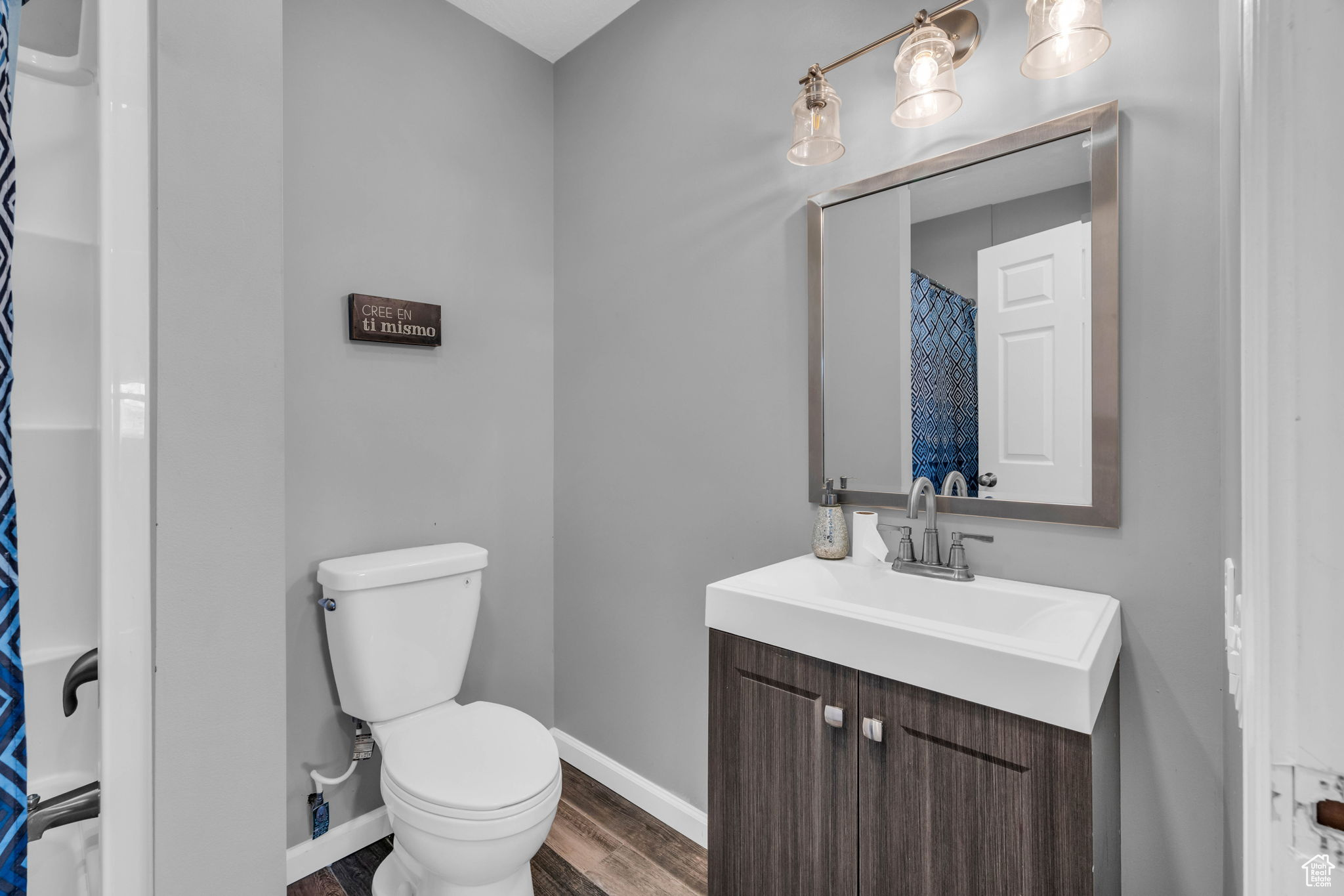 Bathroom featuring hardwood / wood-style floors, vanity, and toilet