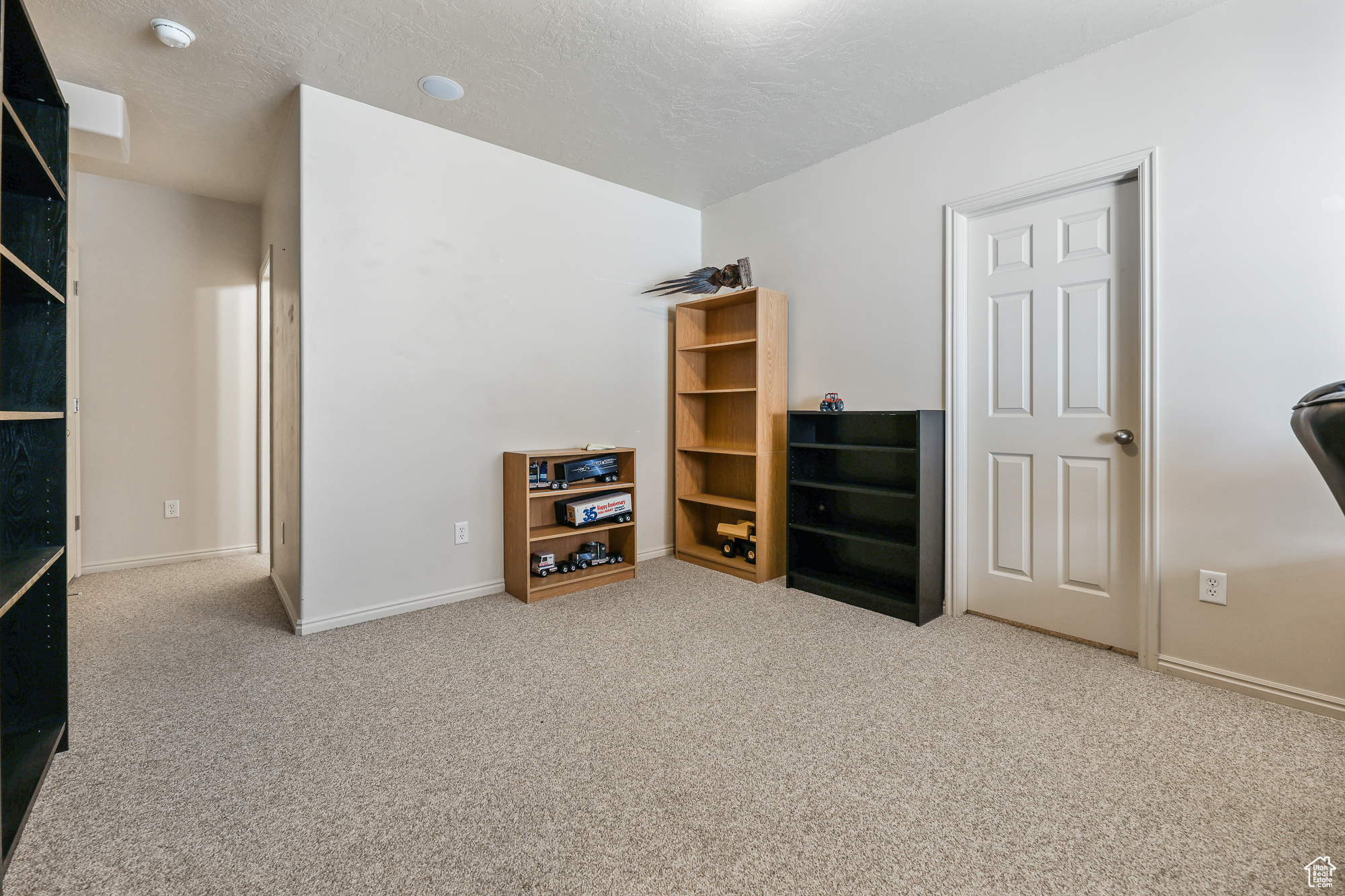 Interior space featuring a textured ceiling and carpet flooring