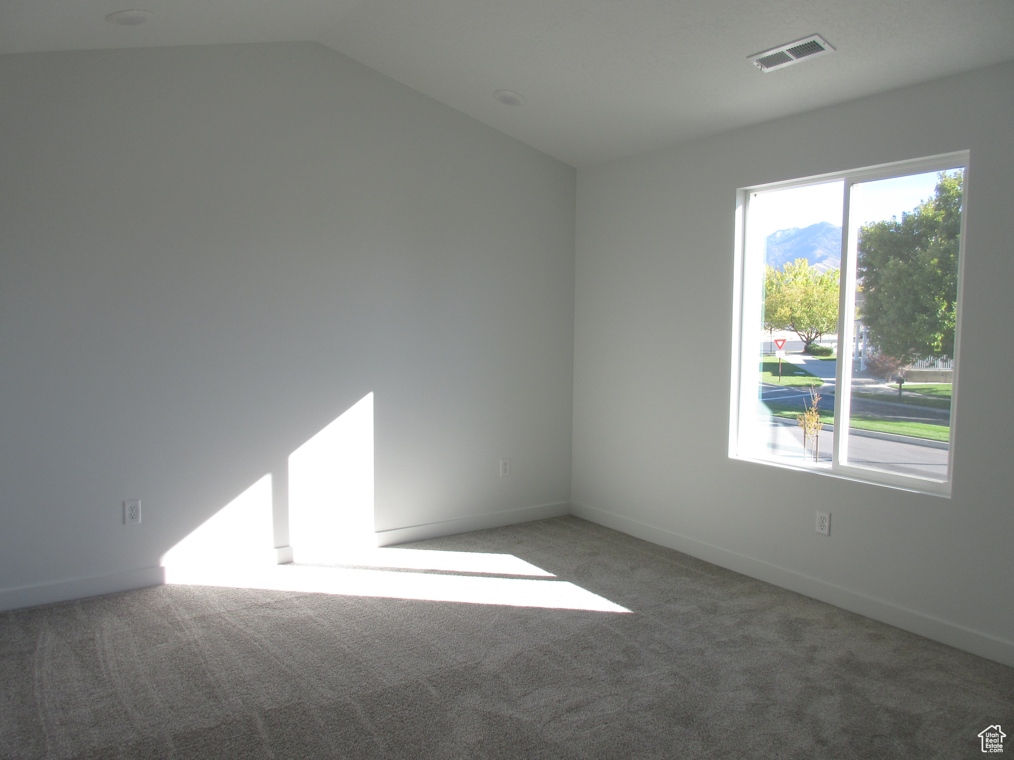 Vaulted ceiling in master bedroom