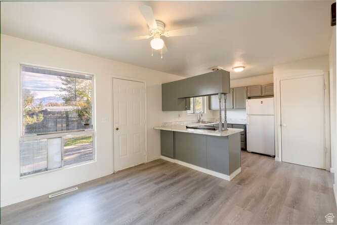 Kitchen with light wood-style laminate flooring, kitchen peninsula, white fridge, and plenty of natural light