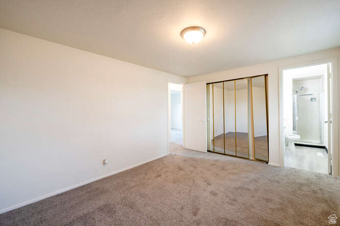 Primary bedroom featuring a closet, carpet floors, and connected bathroom