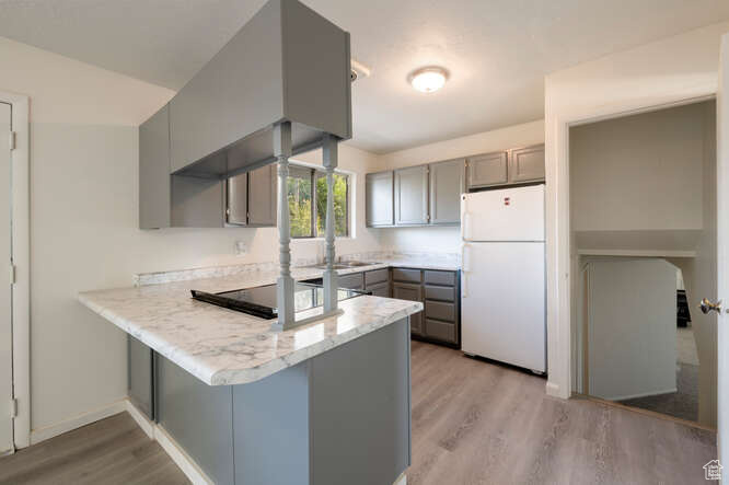 Kitchen with gray cabinetry, light wood-laminate flooring, cooktop, kitchen peninsula, and white fridge