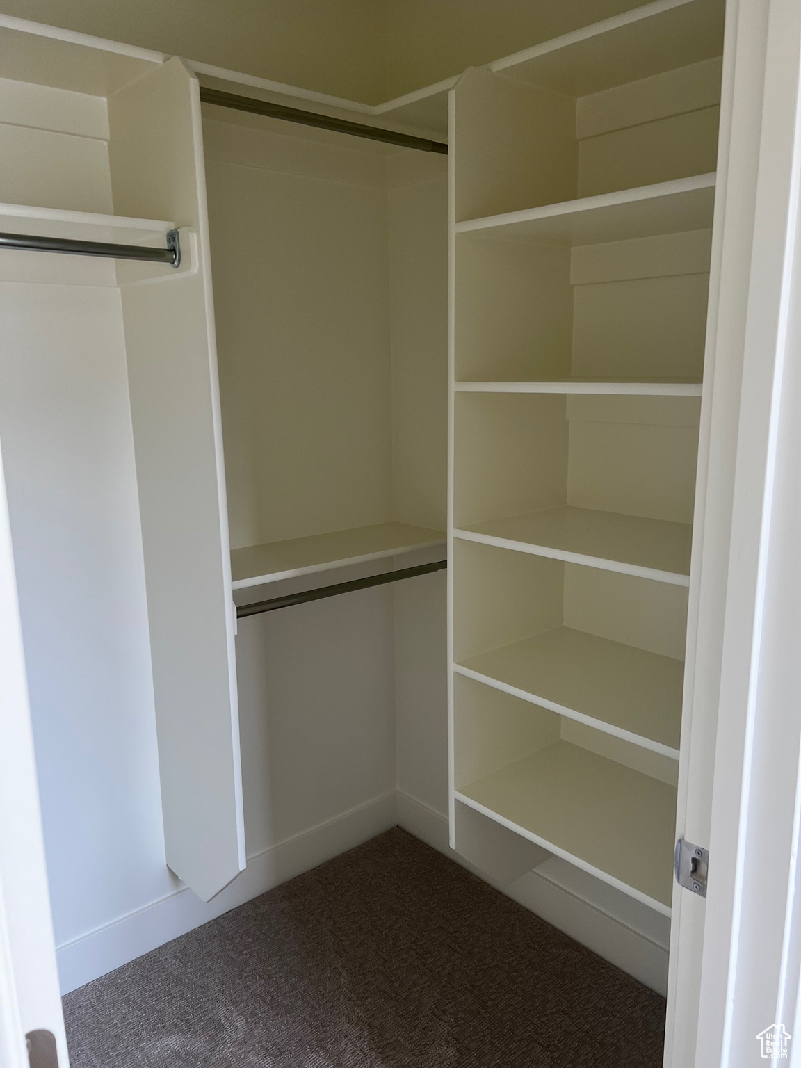 Spacious closet featuring carpet floors